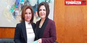 Zaferyıldızı, kitabını Meclis Başkanı Siber’e sundu