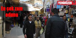 Hayat paahalılığı: -0.17