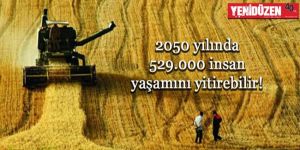 Gıdaya erişimde tehlike çanları!