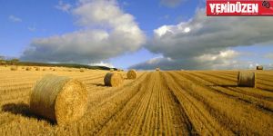  Doğrudan Gelir Desteği için başvurular başladı