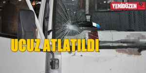 Yaya geçidindeki yayaya çarptı