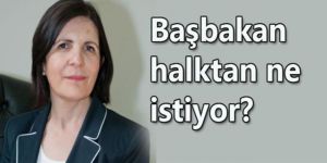 Başbakan Siberden açık çağrı