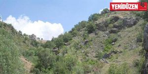 “Orman fakiriyiz”