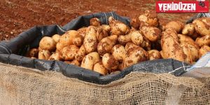 3 kamyon kaçak patatese el konuldu