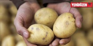 Mersin’den dönen patatesler…