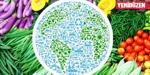 İnsanlığın hayatını Veganlık kurtaracak!