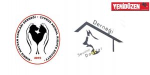 3 yaşındaki köpeğe çarpıp kaçan sürücüye para cezası!