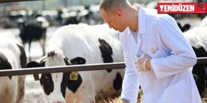 Hayvanlardan numune alımları başlıyor