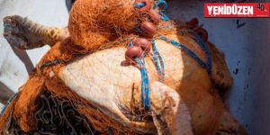 Kıbrıs, Orta Doğu ve Kuzey Afrika açıklarında ölüyorlar