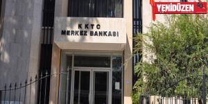 Merkez Bankası için 2015 en kârlı yıl