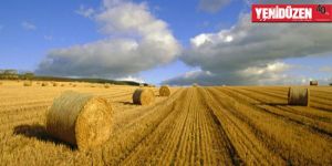 Araziler için beyan süresi yarın sona eriyor