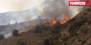 70 dönüm arazi yandı