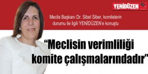 “Komitelerin durumu iç tüzükte gayet açık”