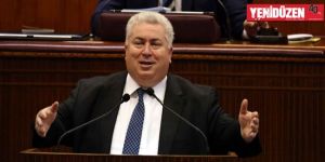 Küçük ortaklar hükümeti