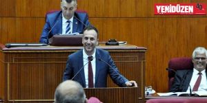 Hükümet programı, şükran belgesi gibi