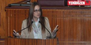 Programda yer alan “alternatif” nedir?