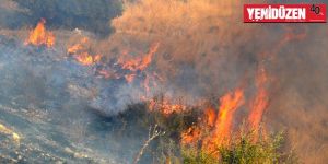 Güney Kıbrıs’ta YANGIN