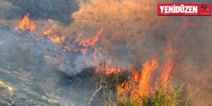 Bir yılda 819 YANGIN!