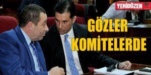 Yasalar “Azınlık Hükümeti’ni” bekliyor