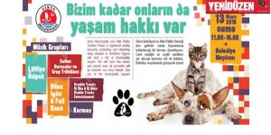 Girne’de sokak hayvanları yararına kermes