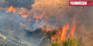 Orman yangınları için ekip kurulacak