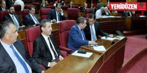 İki tasarıya oybirliği