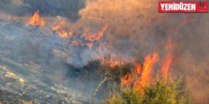 KEMA, yangınlara karşı acil önlem istedi