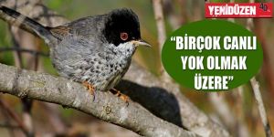 22 Mayıs Uluslararası Biyolojik Çeşitlilik Günü