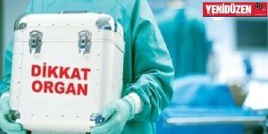 ‘Serbest Hekimler’ organlarını bağışlıyor