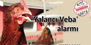 Güney’den sonra Kuzey’de