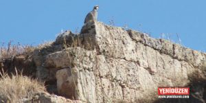 BU ALAN RALLİYE UYGUN DEĞİLDİR