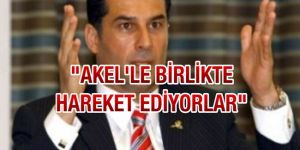 ÖZGÜRGÜN VERDİ, VERİŞTİRDİ