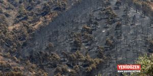 Yanan Hepimizin Ciğerleri, Yaşanan Hepimizin Acısıdır