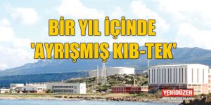 ELEKTRİKTE ÖZELLEŞTİRME TAKVİMİ İŞLİYOR!