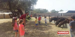 Onlarca hayvan içerde kaldı!