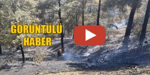 YENİDÜZEN EKİBİ TRODOSTA