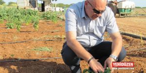 Mehmetçik Cittaslow belgesini alıyor