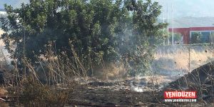 Büyümeden söndürüldü