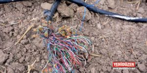 Fiber optik kablo koptu, INTERNET GİTTİ