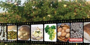 Gabbar Festivali Cumartesi yapılıyor