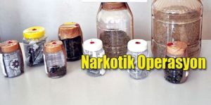 Çeşit çeşit uyuşturucu ele geçirildi…