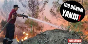 13 BİN AĞAÇ KÜL OLDU