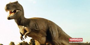 Bolivyada dinazor ayak izi bulundu