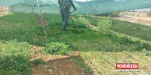 Tarım Dairesi gıda denetimlerinin sonuçlarını açıkladı