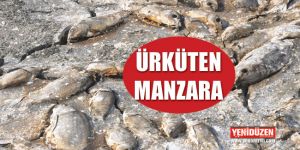 KANLIKÖY GÖLETİ TAMAMEN KURUDU!