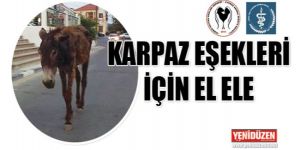  Tüm hayvan dostlarına çağrı