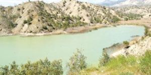 Alagadi Çiftlikdüzü Göleti’nde eylem