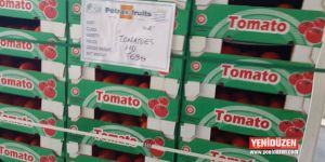 İthal domatesler tahlil edildi