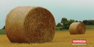 Balya fiyatları açıklandı