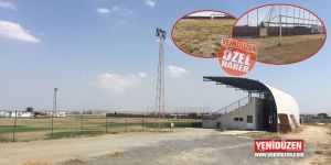 Yılanlar cirit atıyor